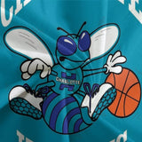 Load image into Gallery viewer, Charlotte Hornets Bedding Set Duvet Cover Without Filler