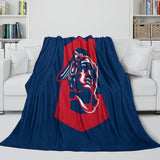 Charger l&#39;image dans la visionneuse de la galerie, Cleveland Guardians Blanket Flannel Throw Room Decoration