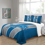 Carica l&#39;immagine nel visualizzatore Galleria, Detroit Lions Bedding Set Duvet Cover Without Filler