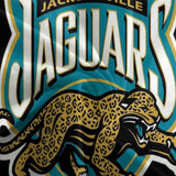 Load image into Gallery viewer, Jacksonville Jaguars Bedding Set Duvet Cover Without Filler