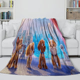 Load image into Gallery viewer, PAW Patrol The Movie Blanket Flannel Throw Kids Room Decoration