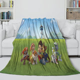 Load image into Gallery viewer, Paw Patrol 2025 Blanket Kids Flannel Throw Room Decoration