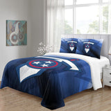 Load image into Gallery viewer, Tennessee Titans Bedding Set Duvet Cover Without Filler