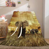 Laden Sie das Bild in den Galerie-Viewer, Niedlicher Elefant, weiche Flanell-Fleece-Decke, Dunelm-Bettwäsche-Decke